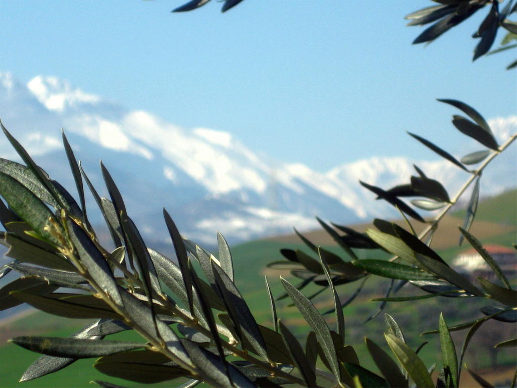 Agriturismo Cignale Penne Eksteriør billede