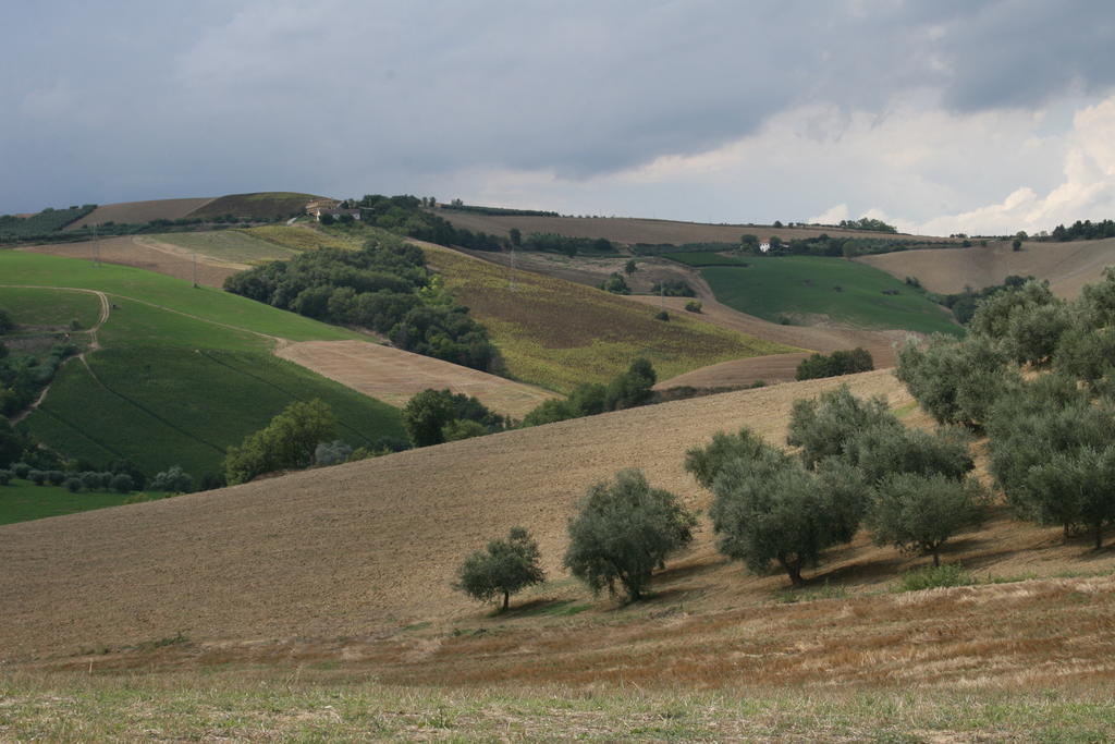 Agriturismo Cignale Penne Eksteriør billede