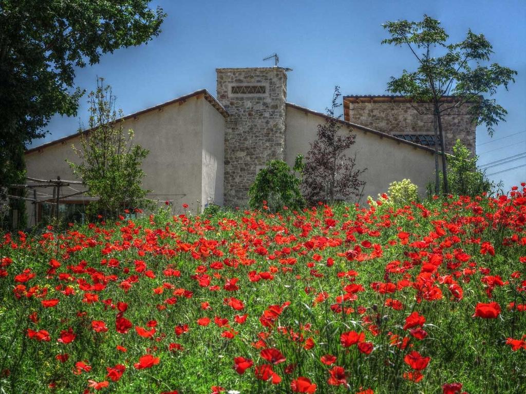 Agriturismo Cignale Penne Eksteriør billede