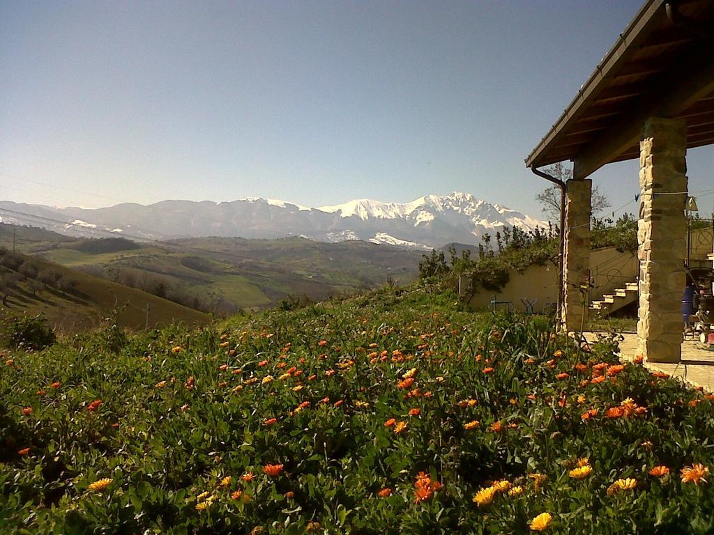 Agriturismo Cignale Penne Eksteriør billede