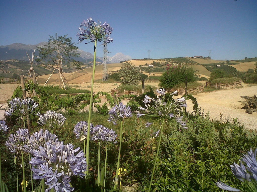 Agriturismo Cignale Penne Eksteriør billede