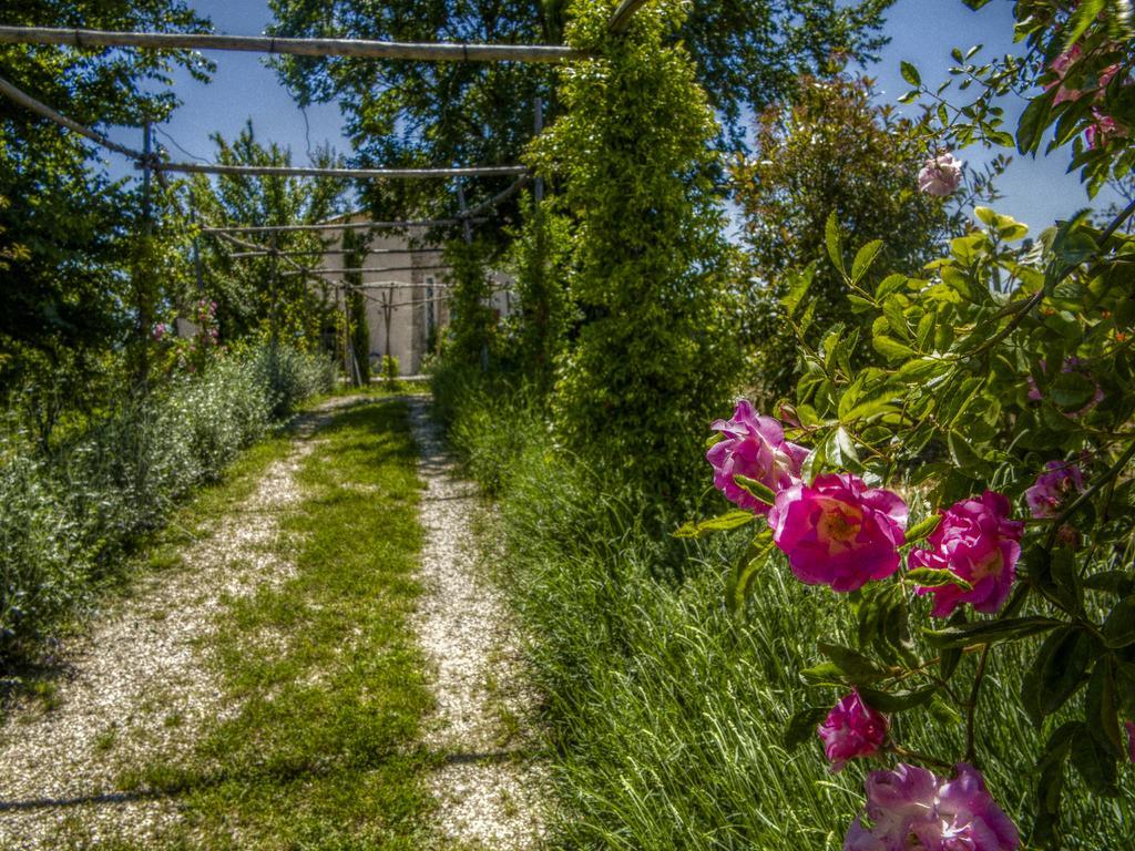 Agriturismo Cignale Penne Eksteriør billede