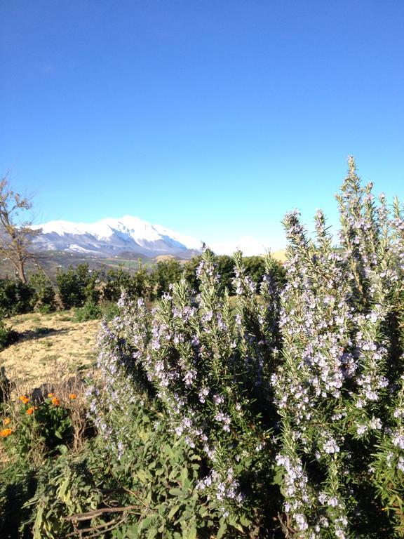 Agriturismo Cignale Penne Eksteriør billede