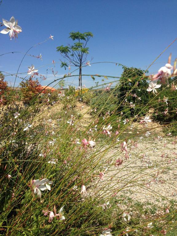 Agriturismo Cignale Penne Eksteriør billede