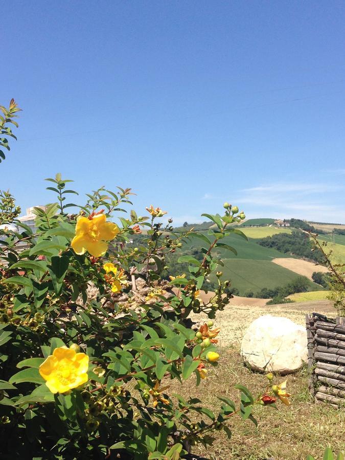 Agriturismo Cignale Penne Eksteriør billede