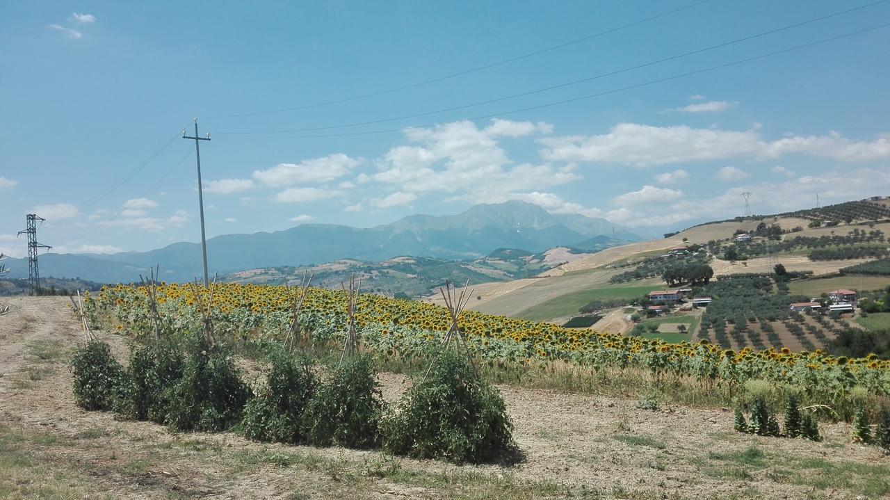 Agriturismo Cignale Penne Eksteriør billede